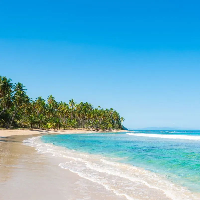 Encuentro Beach Landscape