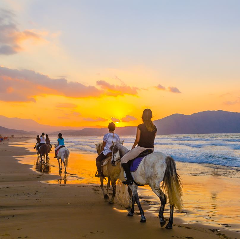 horses on beach
