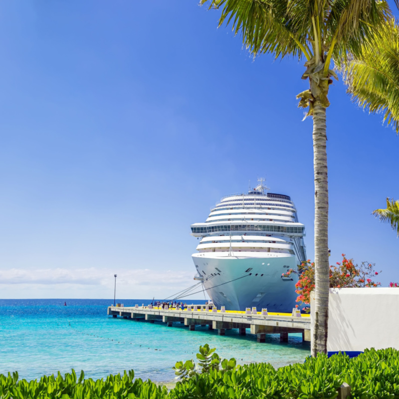 Cruise ship docked with palm trees