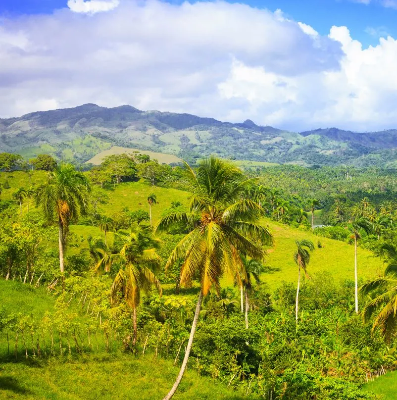 Aerial view of a rainforest In the Dominican Republic 