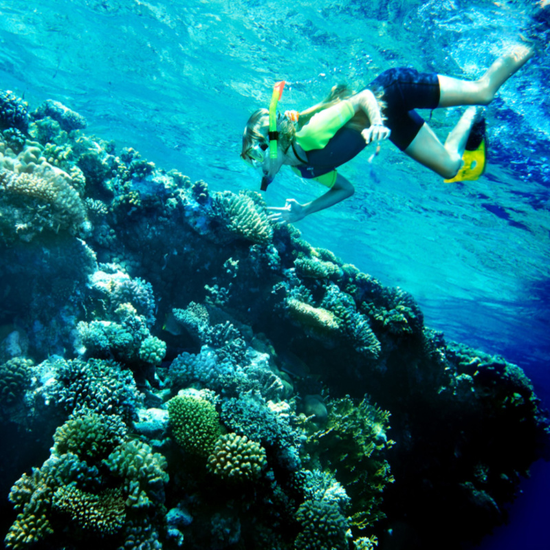 A tourist diving in the colourful reefs of the Dominican Republic