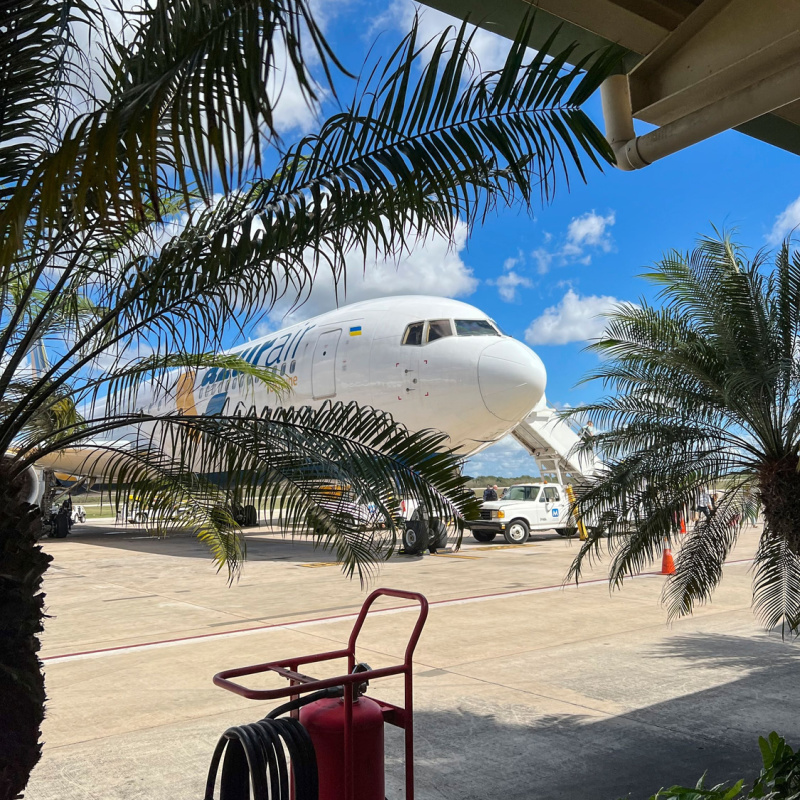 Caribbean airport with palm trees and a parked plane