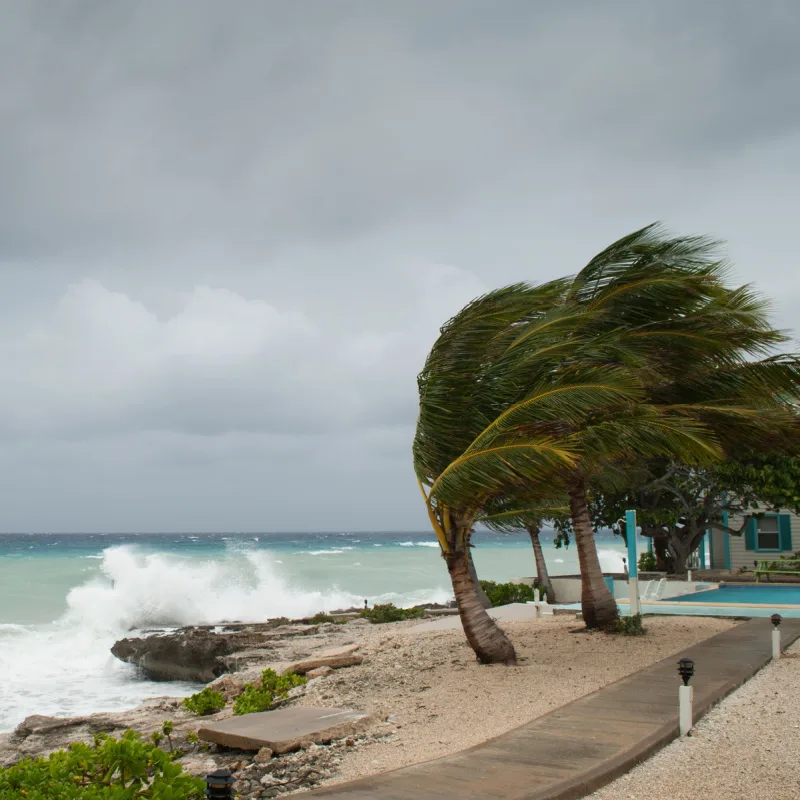 Tropical storm and strong winds