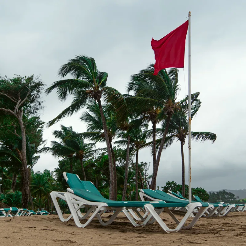 Windy beach