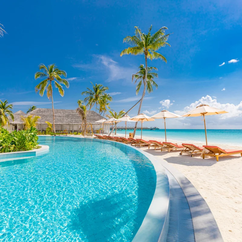 A poolside area in a Caribbean resort with palm trees 