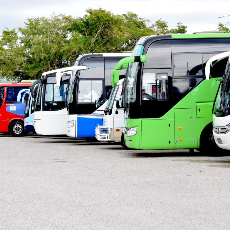 Tourist busses, Punta Cana