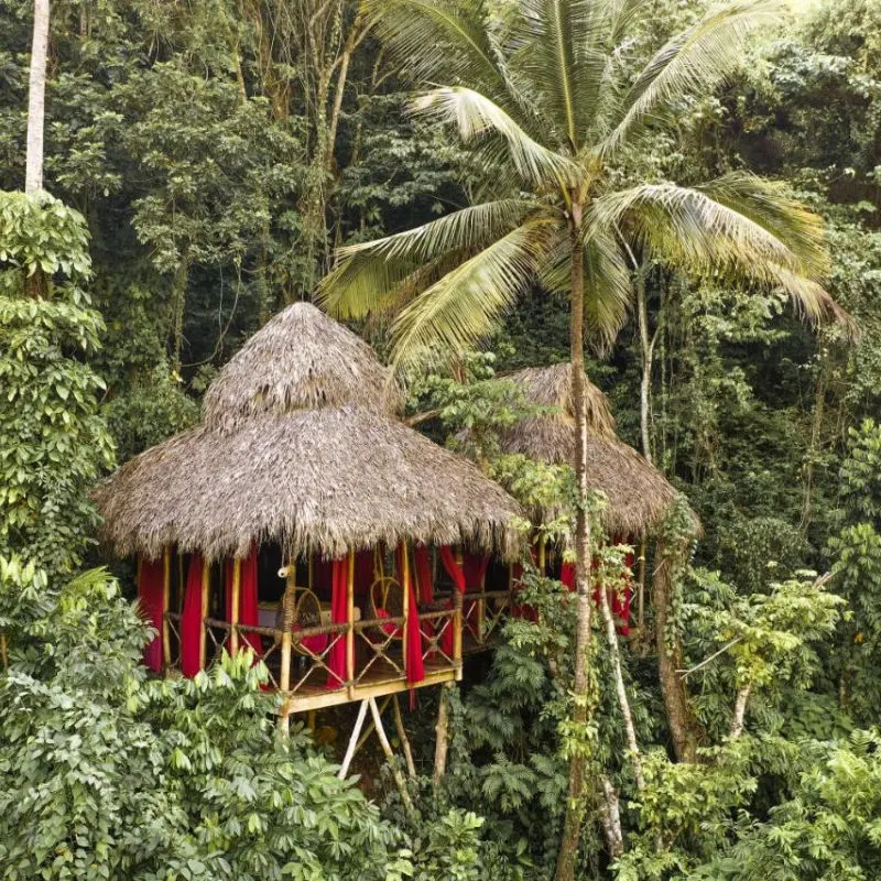 Small tree house hut in Dominican Republic jungle