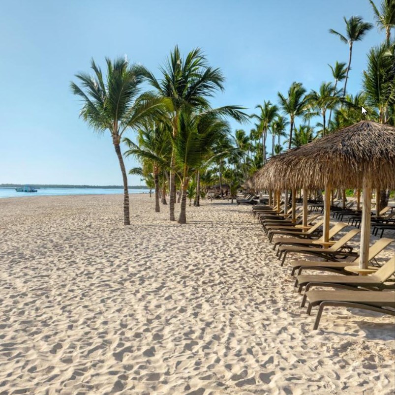 White sand beach in Bavaro with sun chairs and palm trees