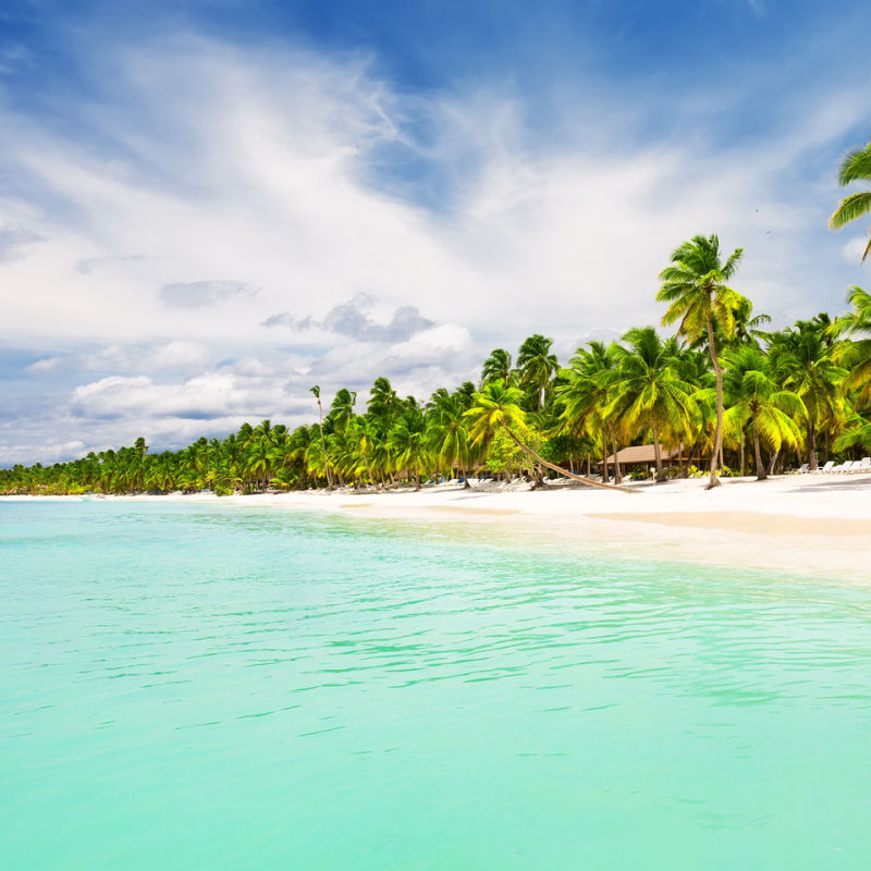 Beautiful white-sand beach in Punta Cana with palm trees