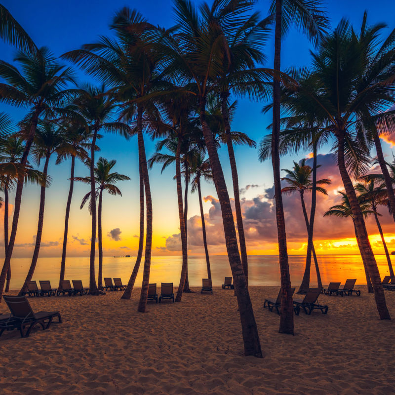 Sunset with tropical skies and palm trees