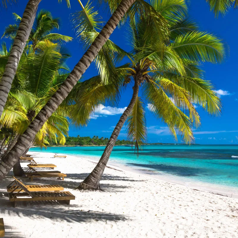 White-sand beach and chairs in a secluded beach