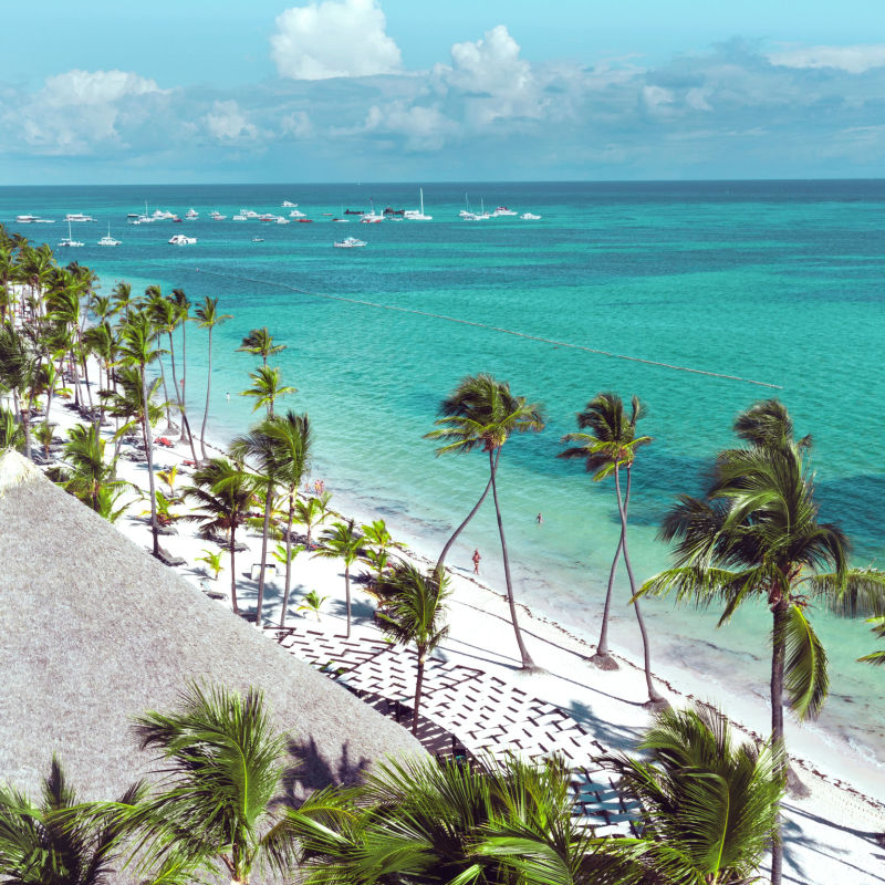 Panoramic view of Punta Cana beach and palm trees