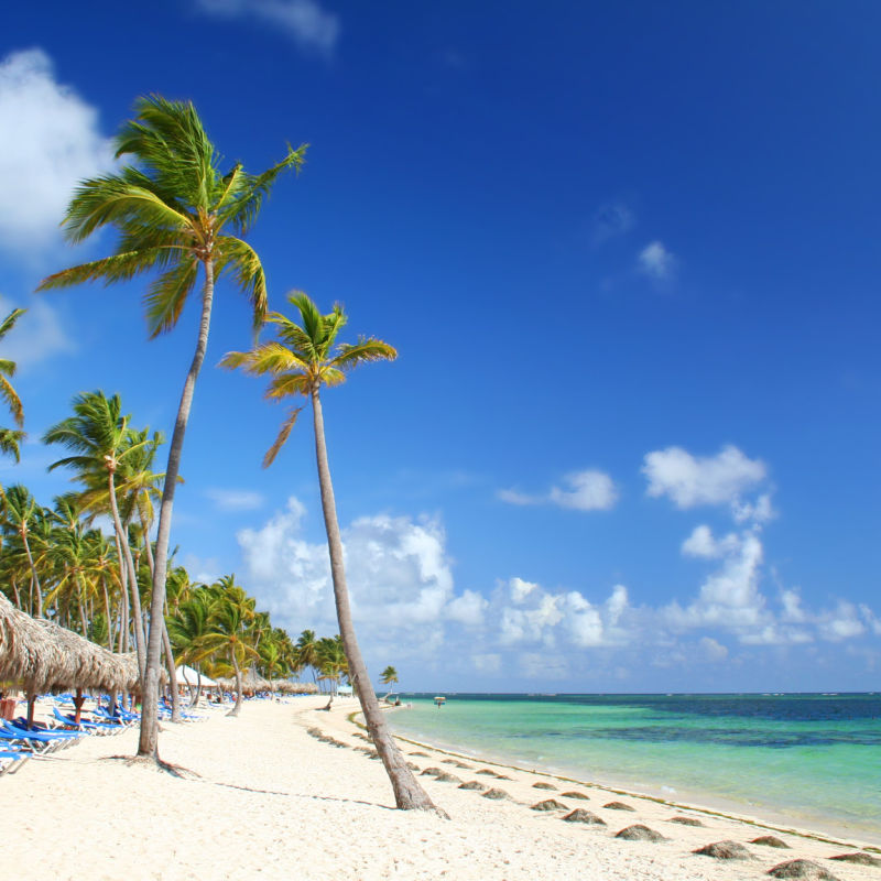 A white-sand beach in Punta Cana with palm trees and coastline 