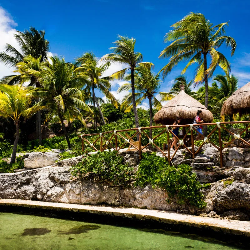 A hotel area in the Caribbean rainforest