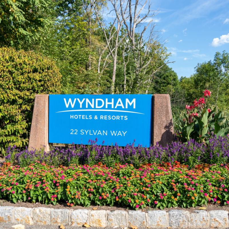 Wynhdam's corporate logo surrounded by greenery 