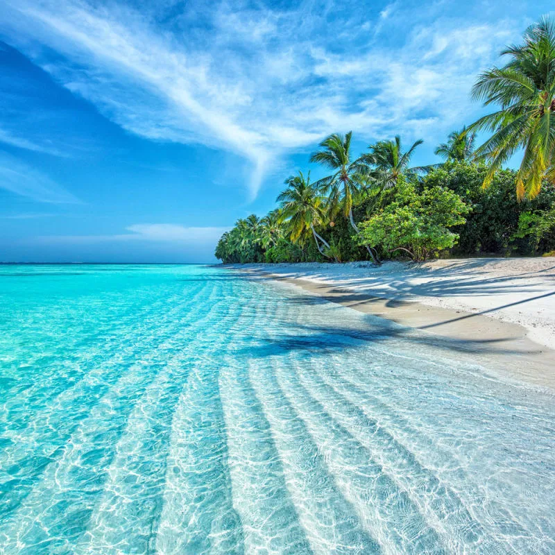 Tropical water on a stunning white sand beach with blue skies