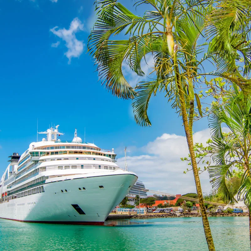 A cruise ship docked at sea with palm trees and blue waters
