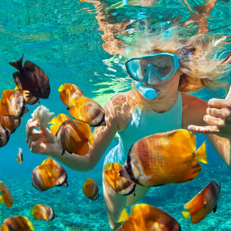Female snorkelling in the Caribbean ocean with fish 