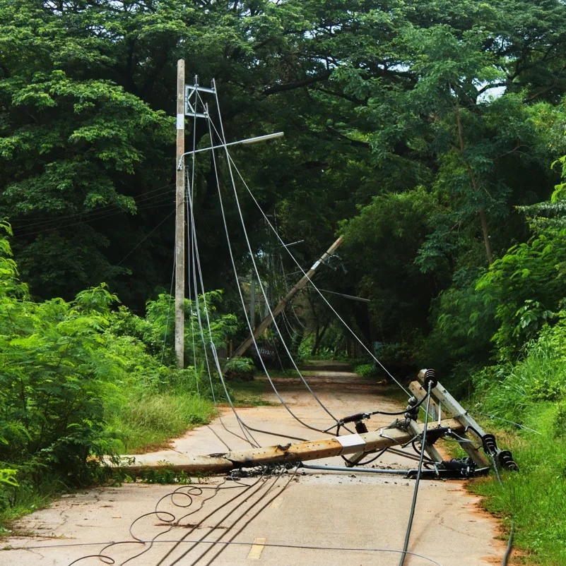 Downed power lines
