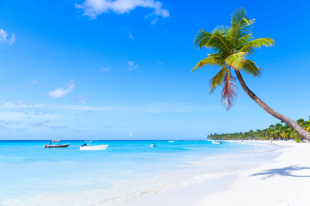 How To Plan A Perfect Day Trip To Saona Island
