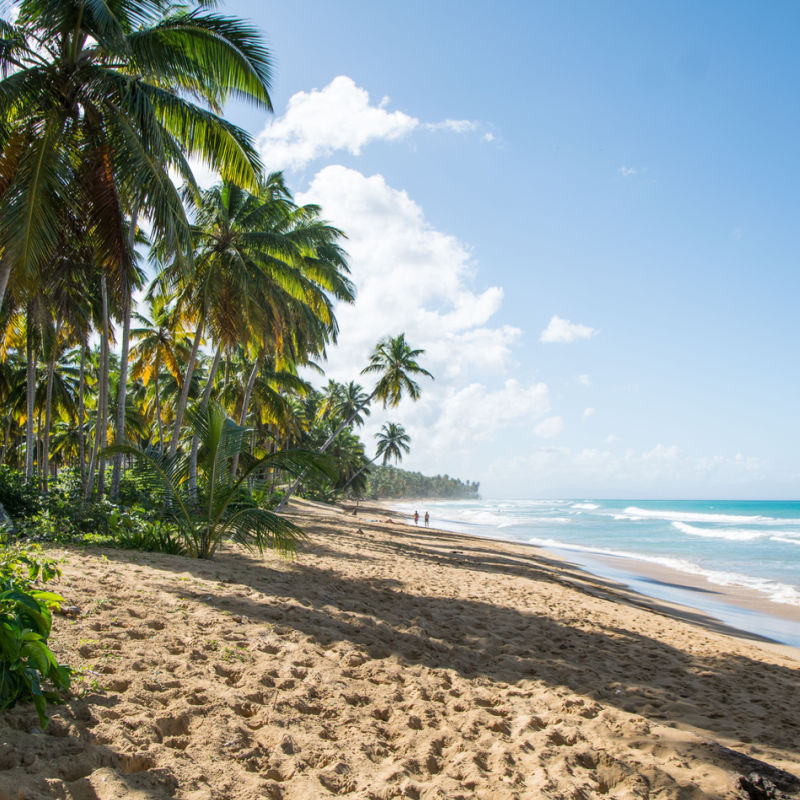A white-sand beach in Puerto Plata with tropical palm trees