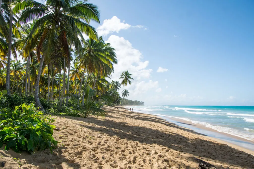 Punta Cana Vs Puerto Plata_ Which Is Best For Your Travel Style?