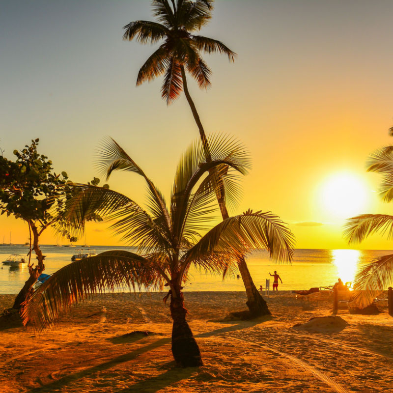 A sunset in Punta Cana beach with palm trees
