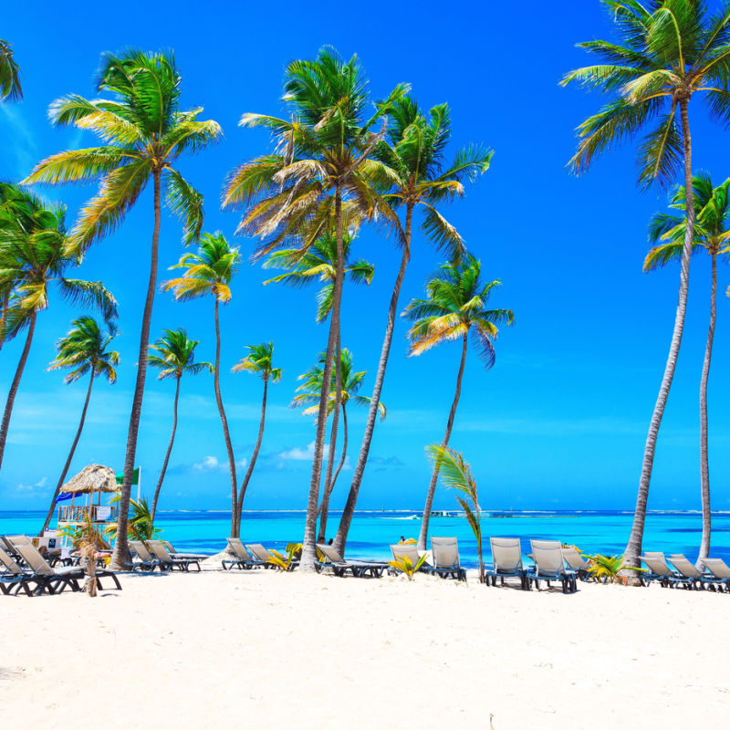 Blue skies and palm trees in a Punta Cana beach