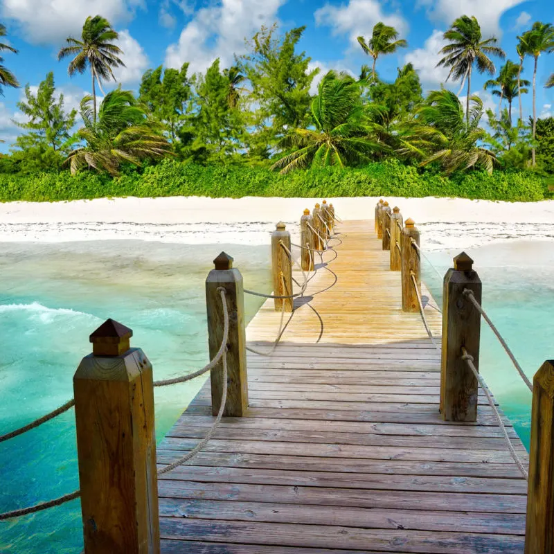 A pier leading to a Punta Cana beach with greenery and blue water 