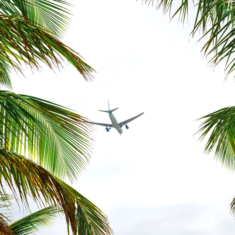 Airplane lading in Punta Cana International Airport amid palm trees
