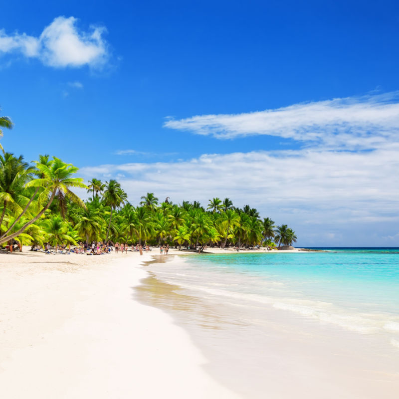 A tropical white sand beach view in Punta Cana
