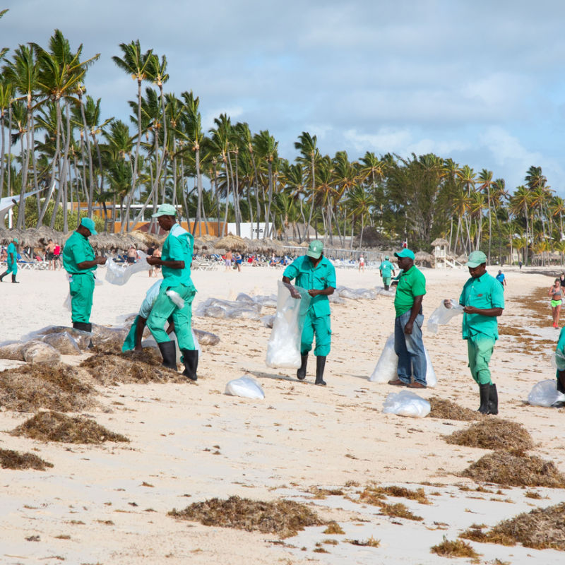 people cleaning the beach in dominican