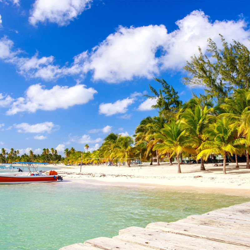 A small boat on the shore in Punta Cana with palm trees 