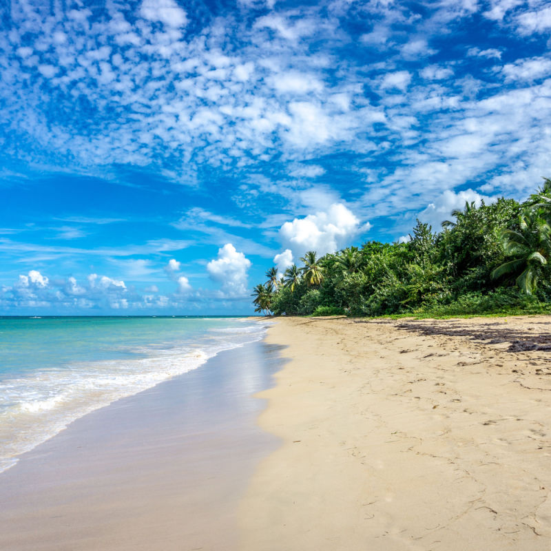 White-sand beach in Samana with blue skies and waves