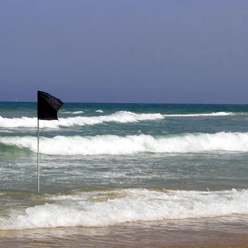 Black "no swimming" flag on a beach