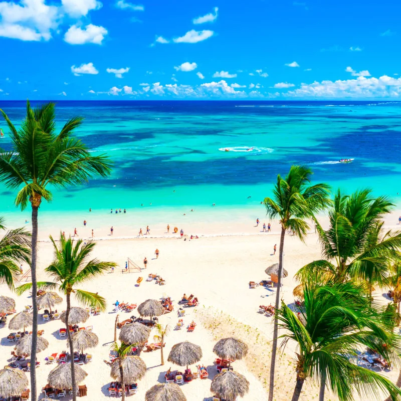 A beach in Punta Cana with chairs and palm trees