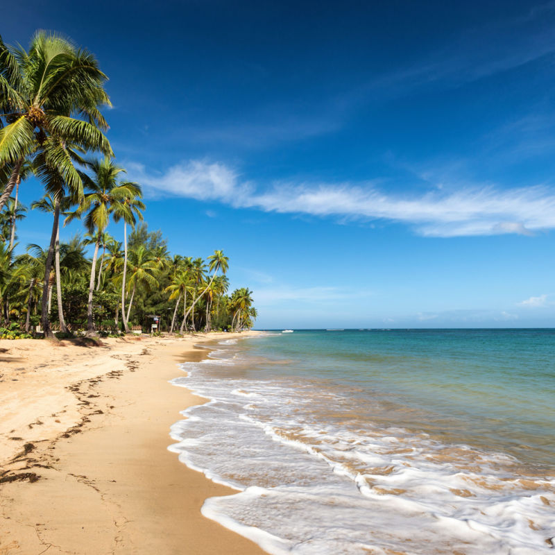 A white-sand beach near Santo Domingo