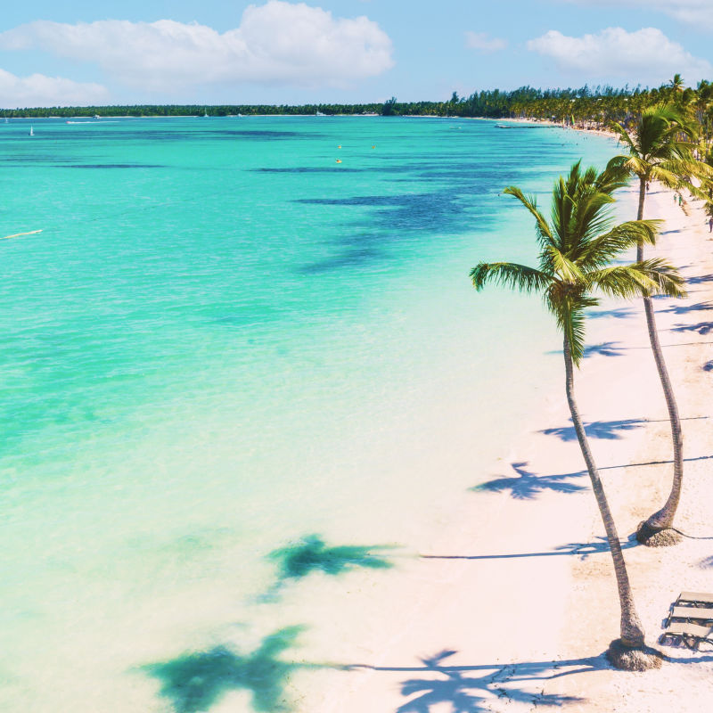Punta Cana white sand beach and palm trees