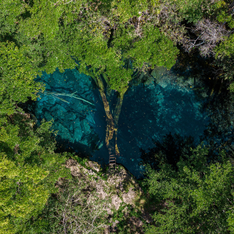 Beautiful Cenote in Punta Cana, Dominican Republic