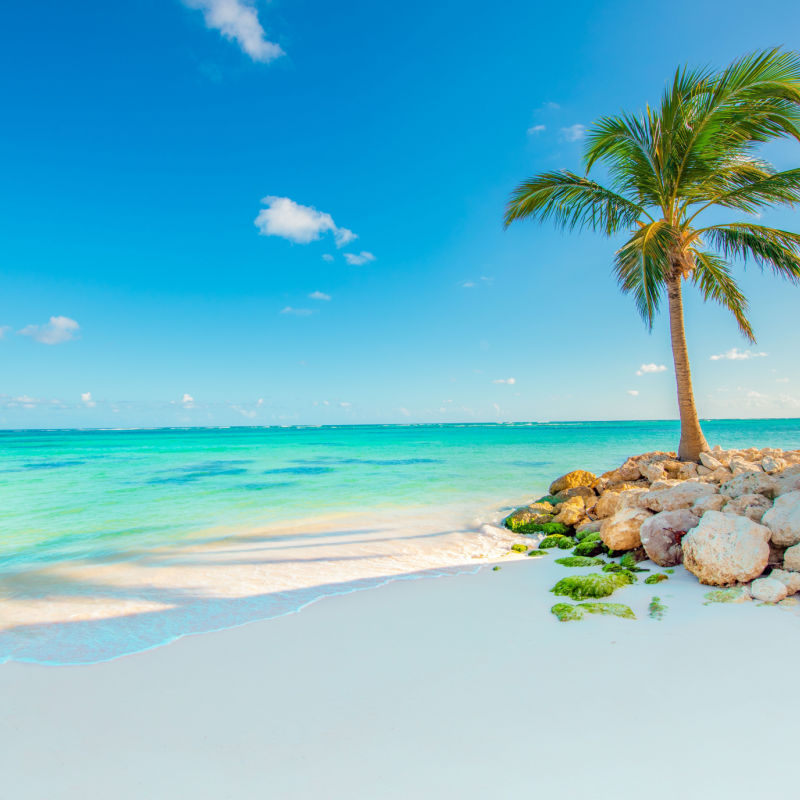 Beautiful beach during summer in Punta Cana