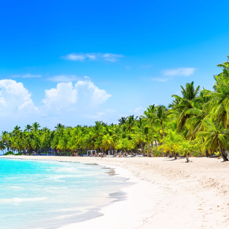 A lush rainforest and a white sand beach in Punta Cana 