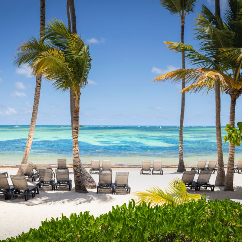 A white-sand beach in Punta Cana with palm trees and blue water