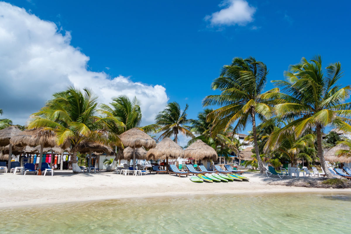 Dominican Republic Ramps Up Sargassum Removal Efforts On These Popular