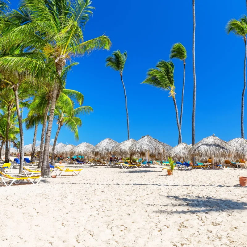 A popular beach in Punta Cana with blue skies and palm trees