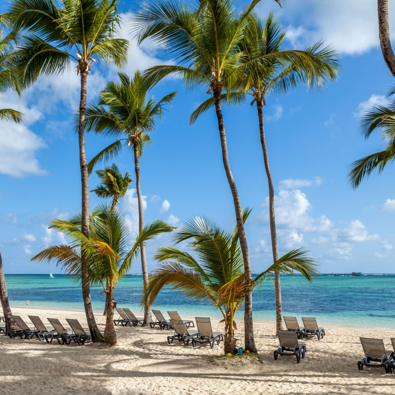 Beautiful view of punta cana beach with palm trees and blue sky