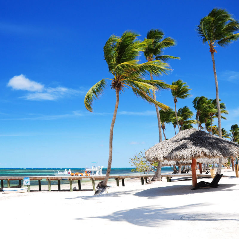 Wind and palm trees on a Punta Cana beach