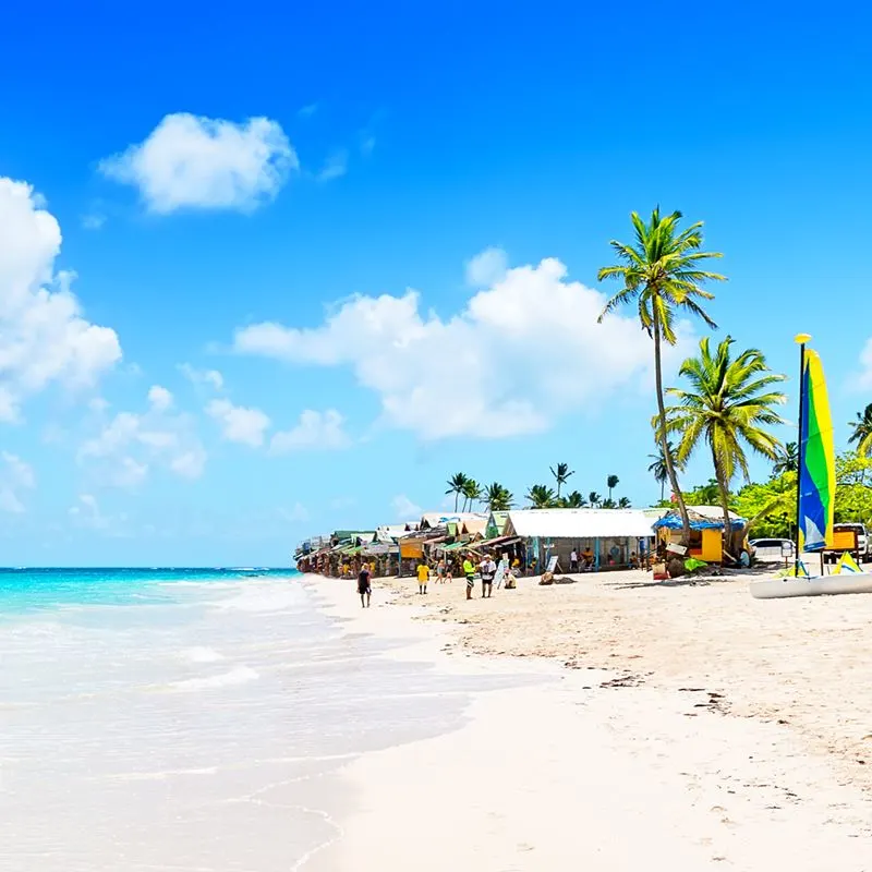 A white sand beach in Punta Cana with palm trees