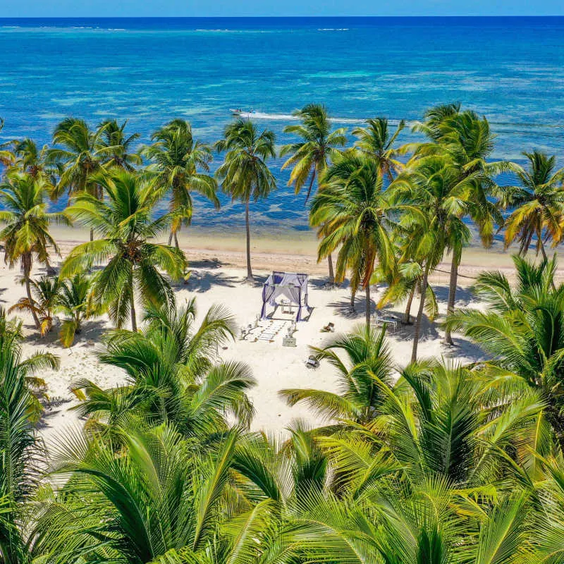 A view of a remote white sand beach with palm trees