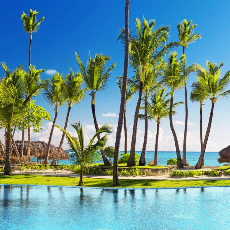 Palm trees in a Punta Cana resort with pool