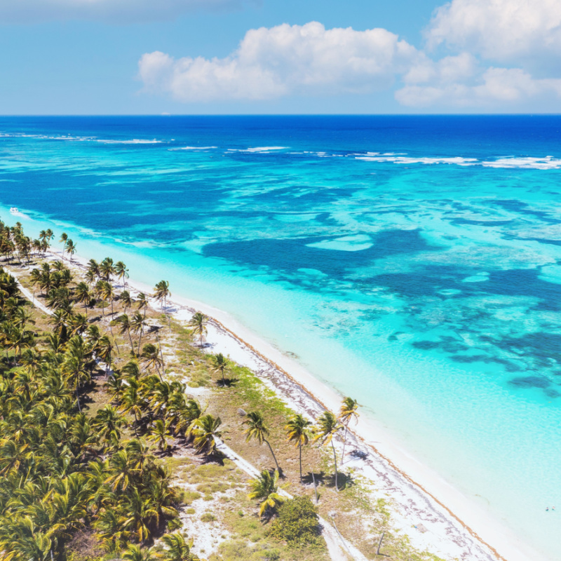 Aerial view of a white sand beach in Punta Cana